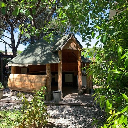 Camping Dolce Sole Marina di Massa Bagian luar foto
