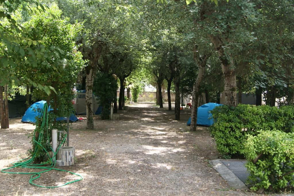 Camping Dolce Sole Marina di Massa Bagian luar foto