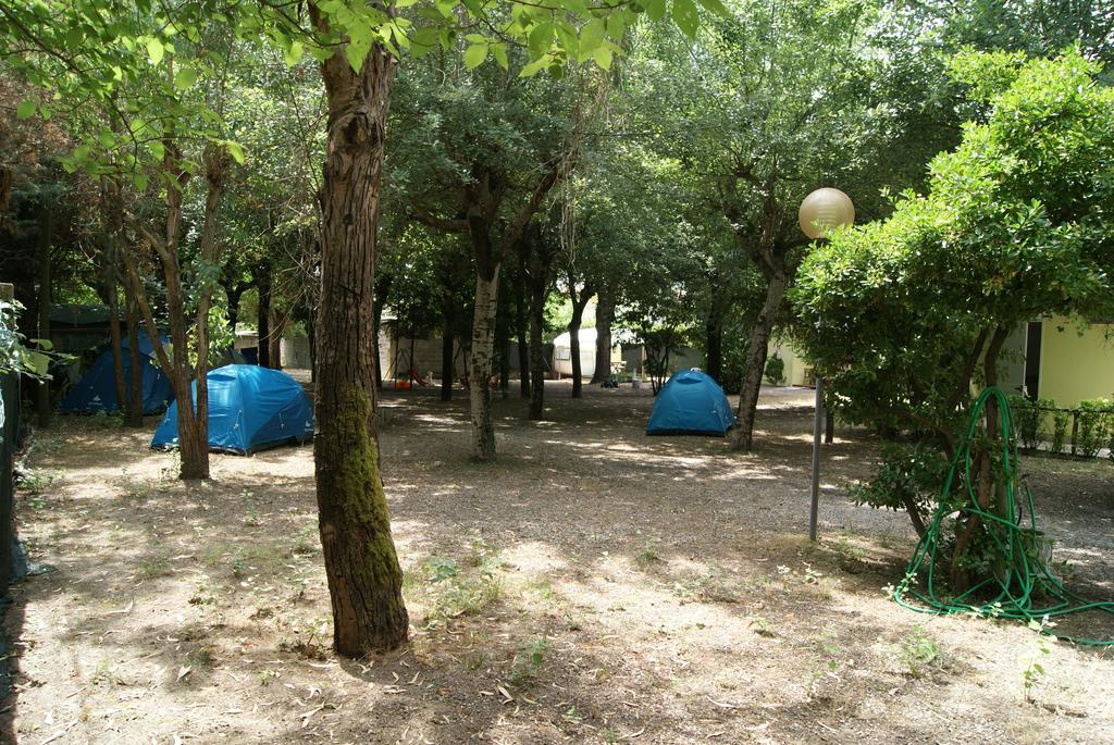 Camping Dolce Sole Marina di Massa Ruang foto