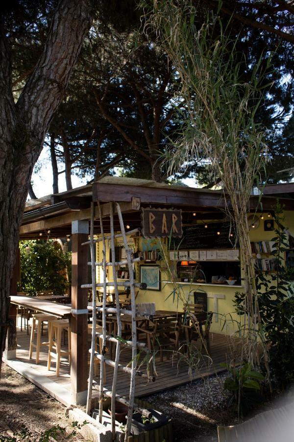 Camping Dolce Sole Marina di Massa Bagian luar foto